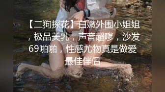 【二狗探花】白嫩外围小姐姐，极品美乳，声音超嗲，沙发69啪啪，性感尤物真是做爱最佳伴侣