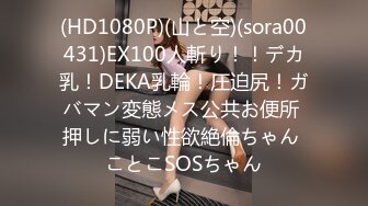 (HD1080P)(山と空)(sora00431)EX100人斬り！！デカ乳！DEKA乳輪！圧迫尻！ガバマン変態メス公共お便所 押しに弱い性欲絶倫ちゃん ことこSOSちゃん