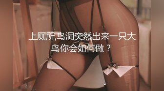 上厕所,鸟洞突然出来一只大鸟你会如何做？