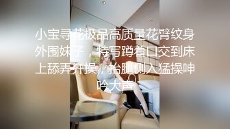 小宝寻花极品高质量花臂纹身外围妹子，特写蹲着口交到床上舔弄开操，抬腿侧入猛操呻吟大声