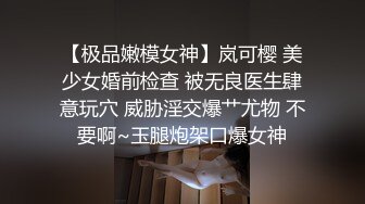 【厕拍新品】百位极品二次元丝袜小姐姐学生妹一镜到底,文字语音同步解说 (6)