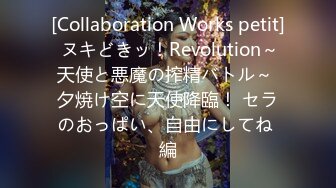 [Collaboration Works petit] ヌキどきッ！Revolution～天使と悪魔の搾精バトル～ 夕焼け空に天使降臨！ セラのおっぱい、自由にしてね 編