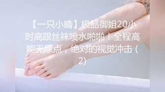 【一只小晴】极品御姐20小时高跟丝袜喷水啪啪！全程高能无尿点，绝对的视觉冲击 (2)