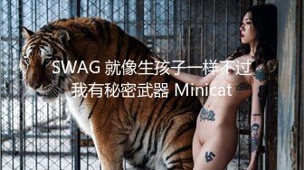 SWAG 就像生孩子一样不过我有秘密武器 Minicat