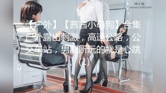 【户外】【茜茜小母狗】合集户外露出刺激，高速公路，公交车站，男厕所玩的就是心跳 (1)