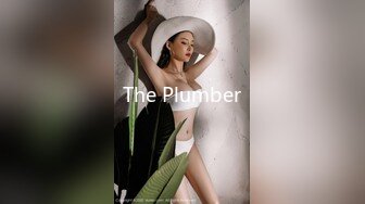 The Plumber