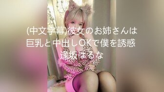 (中文字幕)彼女のお姉さんは巨乳と中出しOKで僕を誘惑 逢坂はるな